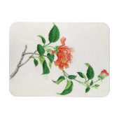 ハイビスカス マグネット (横)