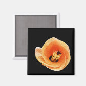 ハイビスカス マグネット (正面/裏面)