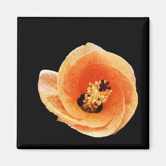 ハイビスカス マグネット (正面)