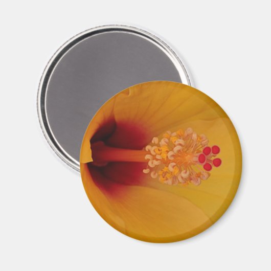 ハイビスカス マグネット (正面/裏面)