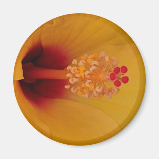 ハイビスカス マグネット (正面)