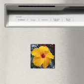 ハイビスカス マグネット (インサイチュ (食洗機))