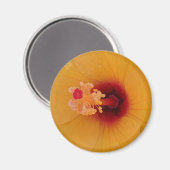 ハイビスカス マグネット (正面/裏面)