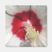 ハイビスカス – マグネット (正面)