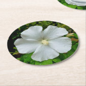 ハイビスカス ラウンドペーパーコースター (アングル)