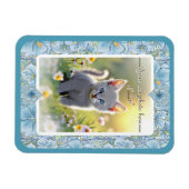 ハイビスカス&レースターコイズ マグネット (横)