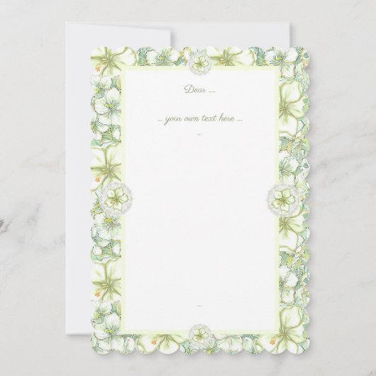 ハイビスカス&レースホワイト (裏面)