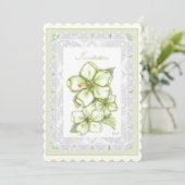 ハイビスカス&レースホワイト (スタンド正面)