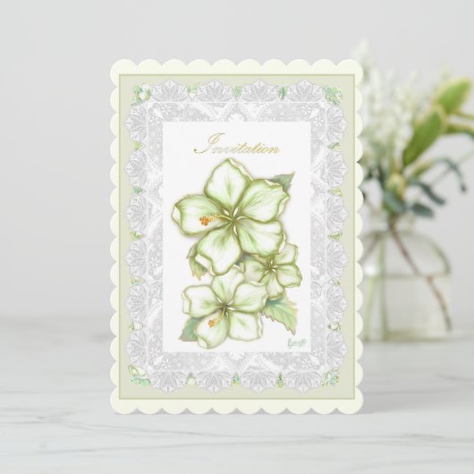 ハイビスカス&レースホワイト (スタンド正面)