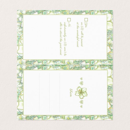 ハイビスカス&レースホワイト (内部フラット)