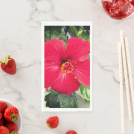 ハイビスカス・ロサ・シネンシスの赤い花