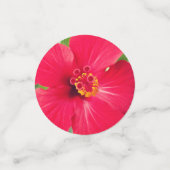 ハイビスカス・ローザ・シネンシスの紅花 コンフェッティ (スモール正面)