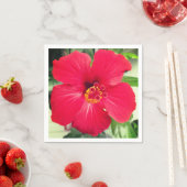 ハイビスカス・ローザ・シネンシスの紅花 スタンダードカクテルナプキン (インサイチュ)