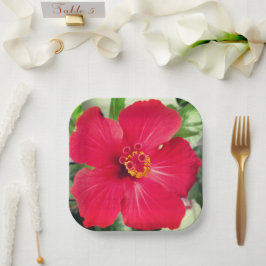 ハイビスカス・ローザ・シネンシスの紅花 ペーパープレート