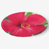 ハイビスカス・ローザ・シネンシスの紅花 ペーパープレート (アングル)