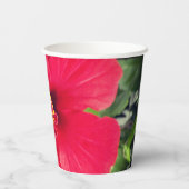 ハイビスカス・ローザ・シネンシスの紅花 紙コップ (裏面)