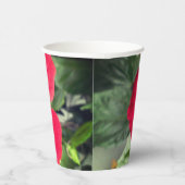 ハイビスカス・ローザ・シネンシスの紅花 紙コップ (右)