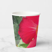 ハイビスカス・ローザ・シネンシスの紅花 紙コップ (正面)
