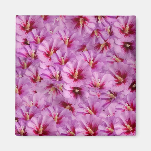 ハイビスカス – 中国のバラ花柄 マグネット (正面)