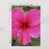 ハイビスカス 招待状 (正面/裏面)