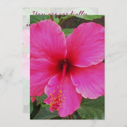 ハイビスカス 招待状 (正面/裏面)