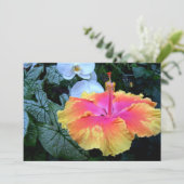 ハイビスカス 招待状 (スタンド正面)