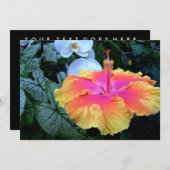ハイビスカス 招待状 (正面/裏面)