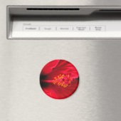 ハイビスカス（赤） マグネット (インサイチュ (食洗機))