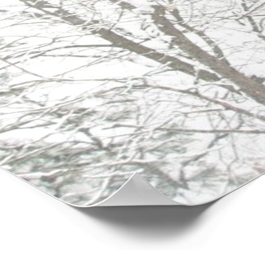 ハイビスカス#1 ポスター (角)