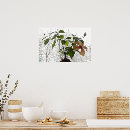 ハイビスカス#1 ポスター (キッチン)