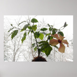 ハイビスカス#1 ポスター