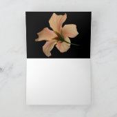 ハイビスカス#4 カード (内部)