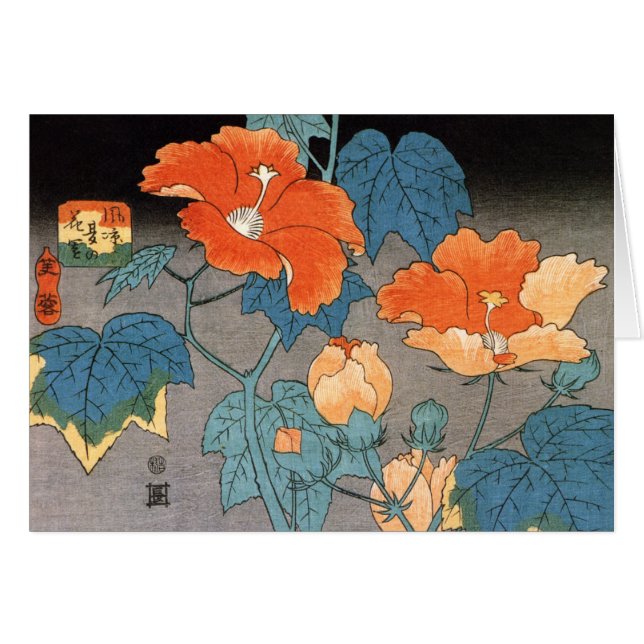 ハイビスカス、Ando Hiroshige (正面横)