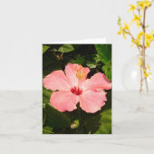 ハイビスカス – V カード (黄色い花)