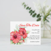 ハイビ芸術的スカスの花の日付写真を保存 案内ポストカード (スタンド正面)