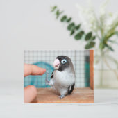 ハイファイブ! ポストカード (スタンド正面)