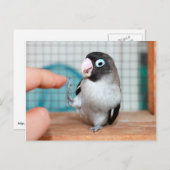 ハイファイブ! ポストカード (正面/裏面)