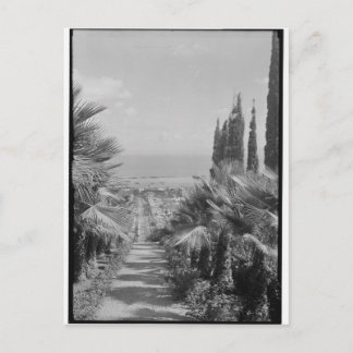 ハイファ – 1920年代カーメル山より ポストカード