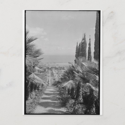 ハイファ – 1920年代カーメル山より ポストカード (正面)