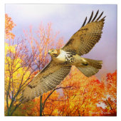 「ハイフライヤー」装飾瓦 タイル (正面)