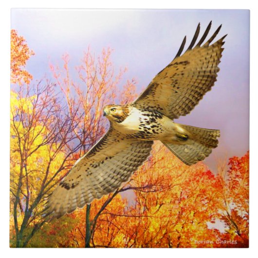 「ハイフライヤー」装飾瓦 タイル (正面)