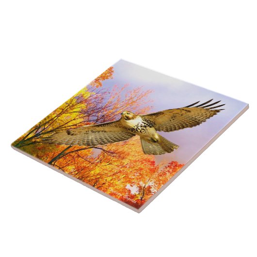 「ハイフライヤー」装飾瓦 タイル (側面)