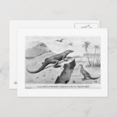 ハイフロホドン絵葉書 ポストカード (正面/裏面)