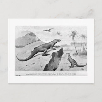 ハイフロホドン絵葉書 ポストカード