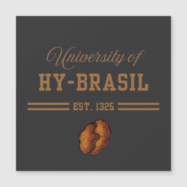 ハイブラジル大学 1325年創立