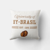 ハイブラジル大学 1325年創立 クッション (裏面)