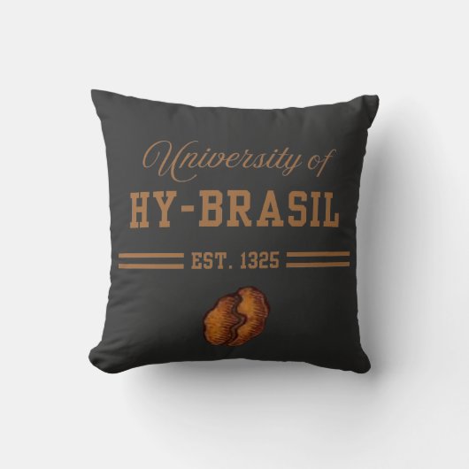 ハイブラジル大学 1325年創立 クッション (正面)