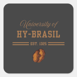 ハイブラジル大学 1325年創立 スクエアシール