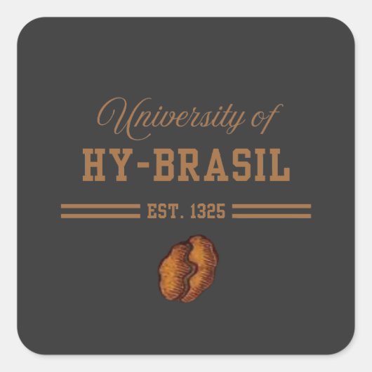 ハイブラジル大学 1325年創立 スクエアシール (正面)