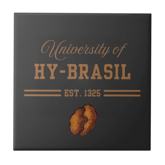 ハイブラジル大学 1325年創立 タイル (正面)